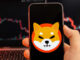 Shiba Inu