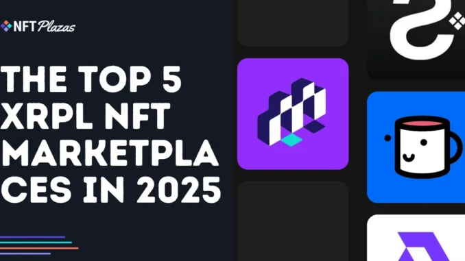 The Top 5 XRPL NFT Marketplaces in 2025 The Top 5 XRPL NFT Marketplaces in 2025