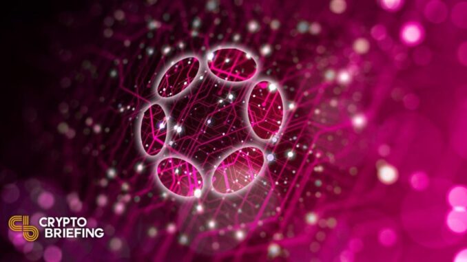 Polkadot Ecosystem Goes Multi-Chain With XCM Launch Polkadot Ecosystem Goes Multi-Chain With XCM Launch