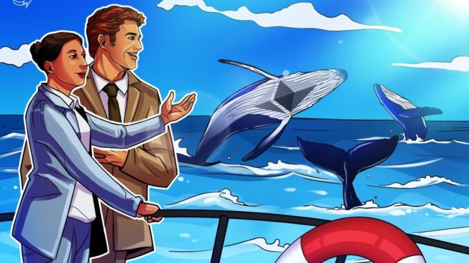 Ethereum whales, sharks keep buying up ETH as retail cashes Ethereum whales, sharks keep buying up ETH as retail cashes out