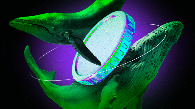 How Crypto Whales Reacted to Market Decline Crypto Whales See Major Wins and Losses as Israel-Iran Tensions Shake the Market