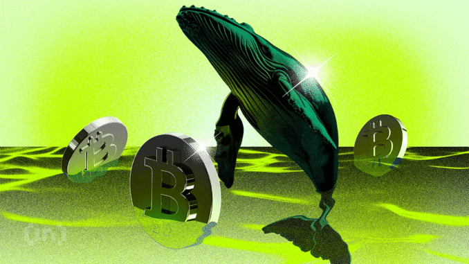 Are Bitcoin Whales Kickstarting Altcoin Season? Bitcoin Whales Are Potentially Driving an Altcoin Season