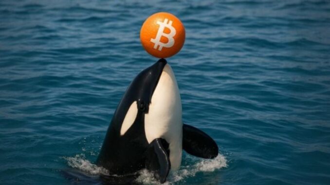 Galaxy Digital moves $447M in Bitcoin to exchanges, sparking sell-off Galaxy Digital moves $447M in Bitcoin to exchanges, sparking sell-off speculation