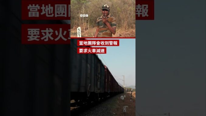 AI監控成功令大象安全橫越路軌 － BBC News 中文 #shorts
