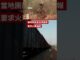 AI監控成功令大象安全橫越路軌 － BBC News 中文 #shorts