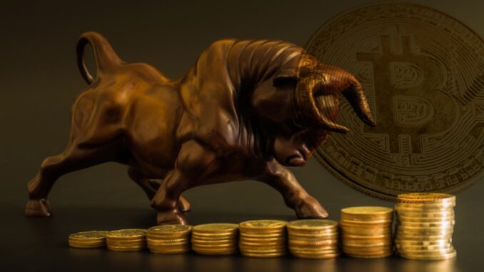 ALGO Price Prediction: Targeting $0.34 Breakout Within 2 Weeks