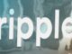 Ripple and SBI to Launch RLUSD Stablecoin in Japan by Early 2026