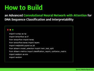 Building an Advanced Convolutional Neural Network with Attention for DNA Sequence Classification and Interpretability