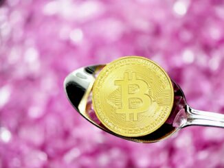 Metaplanet Sets Up US Subsidiary To Strengthen Bitcoin Income Business