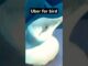 #music #bestboss #utah #charliekirk #shortvideo #hiphop #ai #news #anime #shortsfeed #short #shorts